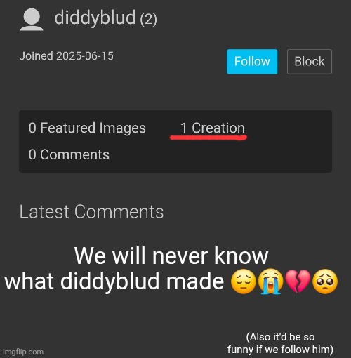 We will never know what diddyblud made 😔😭💔🥺; (Also it'd be so funny if we follow him) | made w/ Imgflip meme maker