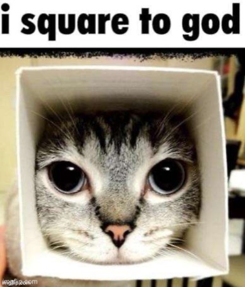 I square to god | image tagged in i square to god | made w/ Imgflip meme maker