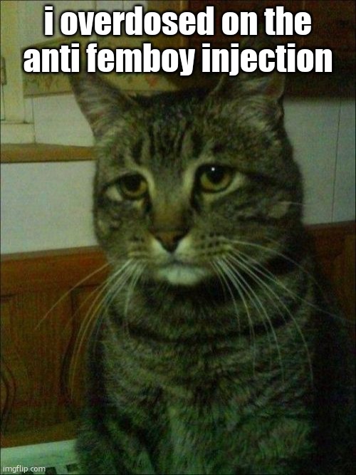 Depressed Cat | i overdosed on the anti femboy injection | image tagged in memes,depressed cat | made w/ Imgflip meme maker