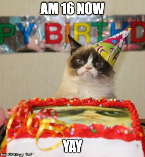 Yippeeeee | AM 16 NOW; YAY | image tagged in memes,grumpy cat birthday,grumpy cat | made w/ Imgflip meme maker