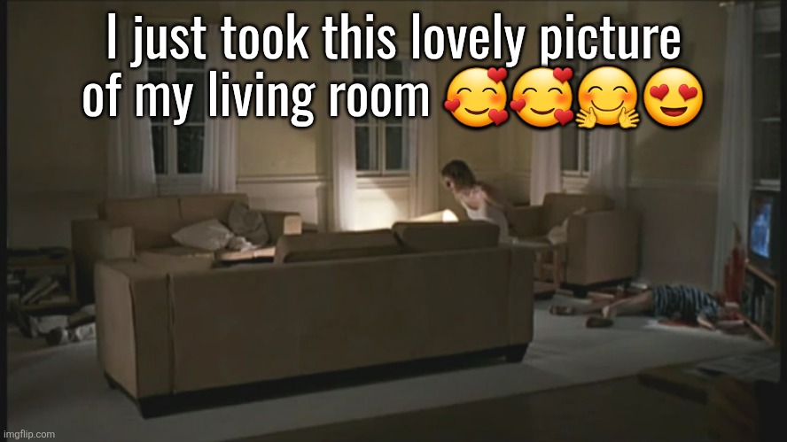 I just took this lovely picture
of my living room 🥰🥰🤗😍 | made w/ Imgflip meme maker