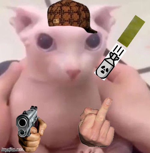 bingus | image tagged in bingus | made w/ Imgflip meme maker