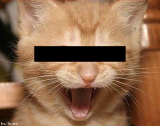 Censored pussy | made w/ Imgflip meme maker