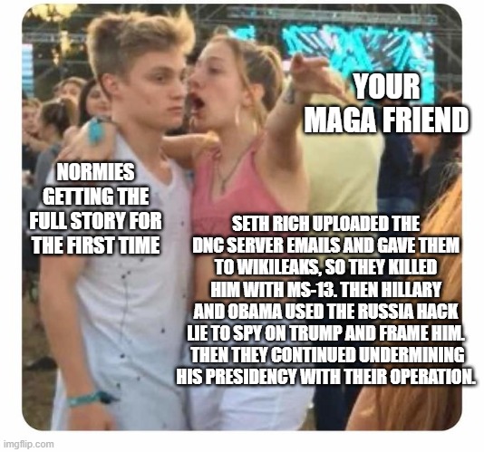 girlsplaining | YOUR MAGA FRIEND; NORMIES GETTING THE FULL STORY FOR THE FIRST TIME; SETH RICH UPLOADED THE DNC SERVER EMAILS AND GAVE THEM TO WIKILEAKS, SO THEY KILLED HIM WITH MS-13. THEN HILLARY AND OBAMA USED THE RUSSIA HACK LIE TO SPY ON TRUMP AND FRAME HIM.  THEN THEY CONTINUED UNDERMINING HIS PRESIDENCY WITH THEIR OPERATION. | image tagged in girlsplaining | made w/ Imgflip meme maker