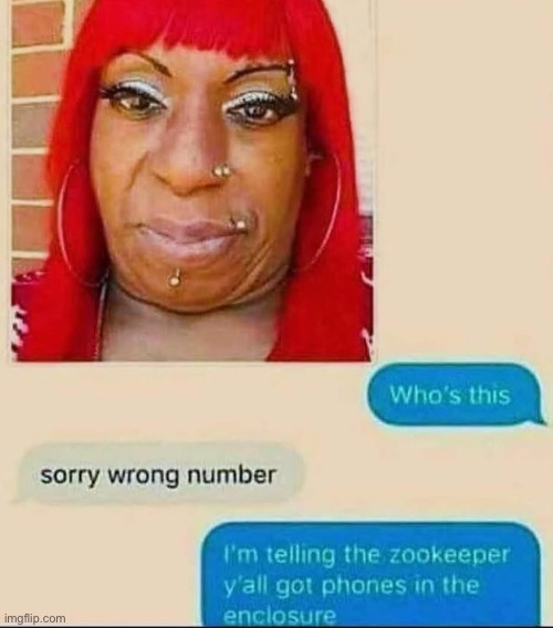 phones in the enclosure is wild | image tagged in memes,funny,insults | made w/ Imgflip meme maker