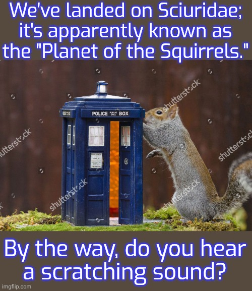 Everything is dangerous on this show. | We've landed on Sciuridae; it's apparently known as the "Planet of the Squirrels."; By the way, do you hear
a scratching sound? | image tagged in tardis squirrel,british tv,bbc,science fiction,doctor who is confused | made w/ Imgflip meme maker