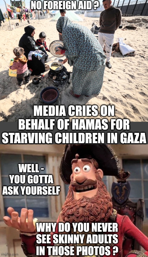 Hamas is Controlling Media Reports | NO FOREIGN AID ? MEDIA CRIES ON BEHALF OF HAMAS FOR STARVING CHILDREN IN GAZA; WELL -
YOU GOTTA ASK YOURSELF; WHY DO YOU NEVER SEE SKINNY ADULTS IN THOSE PHOTOS ? | image tagged in well yes but actually no,leftists,liberals,democrats,hamas,liars | made w/ Imgflip meme maker