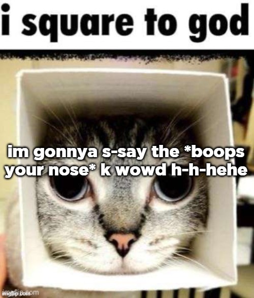 I square to god | im gonnya s-say the *boops your nose* k wowd h-h-hehe | image tagged in i square to god | made w/ Imgflip meme maker