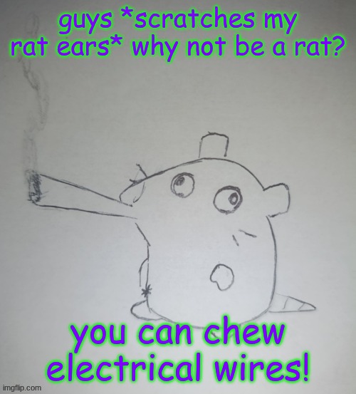 clicking this meme means you've been infected | guys *scratches my rat ears* why not be a rat? you can chew electrical wires! | image tagged in dumbass rat smoking a fat blunt credits to shadowskul | made w/ Imgflip meme maker