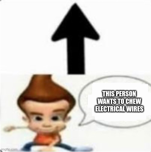 This person has 500gb of child meme but chat is white | THIS PERSON WANTS TO CHEW ELECTRICAL WIRES | image tagged in this person has 500gb of child meme but chat is white | made w/ Imgflip meme maker