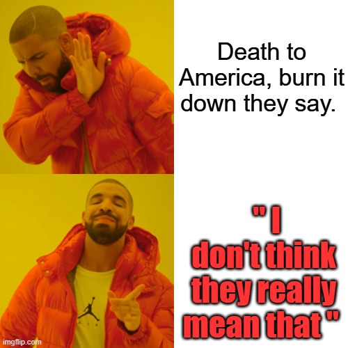 They're just kidding, Right? | Death to America, burn it down they say. " I don't think they really mean that " | image tagged in memes,drake hotline bling | made w/ Imgflip meme maker