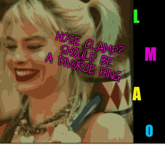 Harley Quinn LMAO | HOSE CLAMP? SHOULD BE A DIVORCE RING | image tagged in harley quinn lmao | made w/ Imgflip meme maker