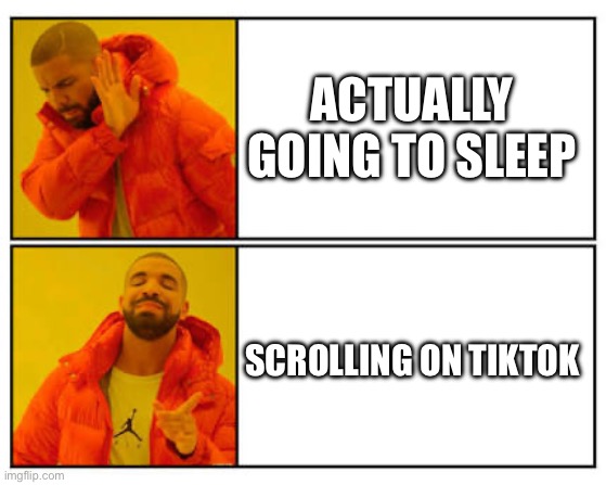 No - Yes | ACTUALLY GOING TO SLEEP; SCROLLING ON TIKTOK | image tagged in no - yes | made w/ Imgflip meme maker