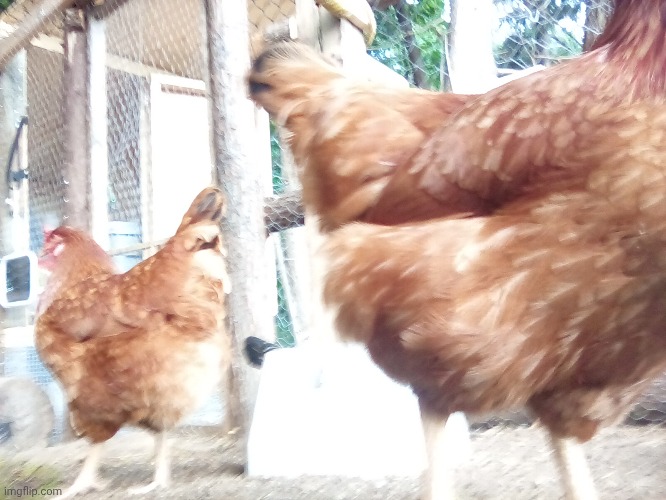 This could be a cool album cover | made w/ Imgflip meme maker