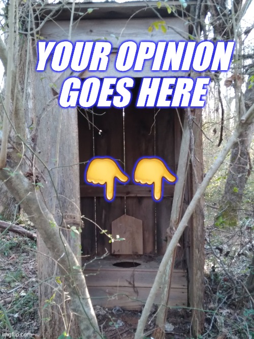 YOUR OPINION GOES HERE; 👇👇 | image tagged in funny | made w/ Imgflip meme maker