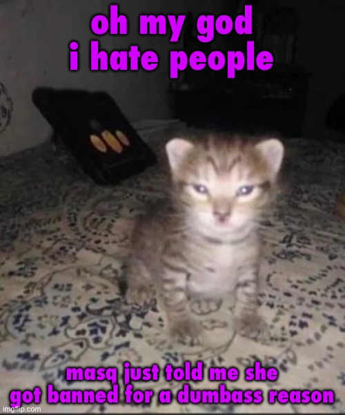 can some mod unban her? it was bc of the laughing cat image | oh my god i hate people; masq just told me she got banned for a dumbass reason | image tagged in herbert s brother | made w/ Imgflip meme maker