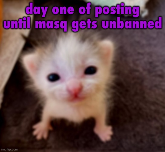 Silly goober :3 | day one of posting until masq gets unbanned | image tagged in silly goober 3 | made w/ Imgflip meme maker