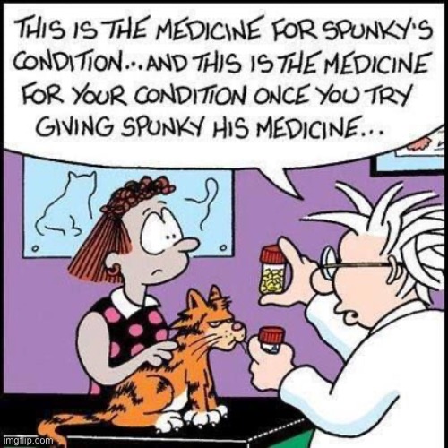 It’ll just be a flesh wound… | image tagged in cats,comics,off the mark,veterinarian,meds | made w/ Imgflip meme maker