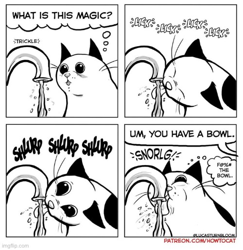 How to Cat | image tagged in cats,comics,how to cat,faucet | made w/ Imgflip meme maker