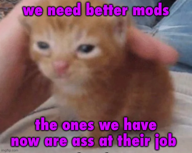 at least when i was mod i tried not to abuse it, but i had it removed for unfeaturing my own post | we need better mods; the ones we have now are ass at their job | image tagged in herbert | made w/ Imgflip meme maker