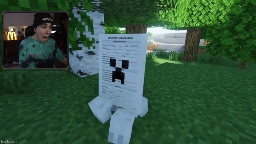 image tagged in shitpost,minecraft | made w/ Imgflip meme maker