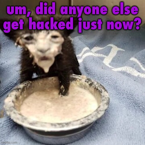 i just came online and saw that someone’s been posting on my account, and it’s not masq | um, did anyone else get hacked just now? | image tagged in pie 3 | made w/ Imgflip meme maker
