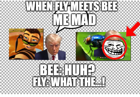 when fly meets bee Blank Meme Template