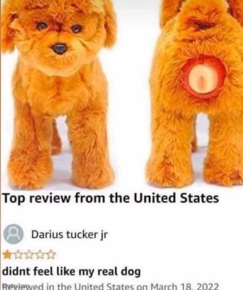 image tagged in doggy,style,sex toys,doggo,dog,dogs | made w/ Imgflip meme maker