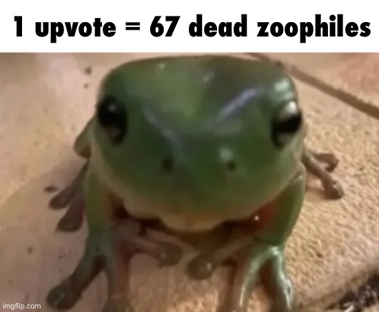 Frog | 1 upvote = 67 dead zoophiles | image tagged in frog | made w/ Imgflip meme maker