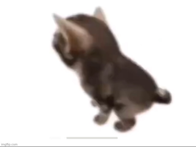 El gatito | image tagged in el gatito | made w/ Imgflip meme maker