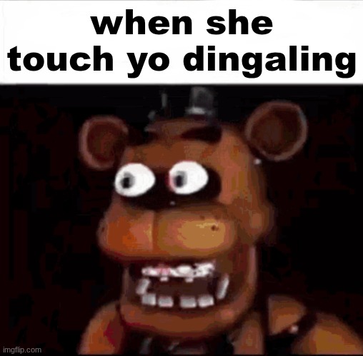 Shocked Freddy Fazbear | when she touch yo dingaling | image tagged in shocked freddy fazbear | made w/ Imgflip meme maker