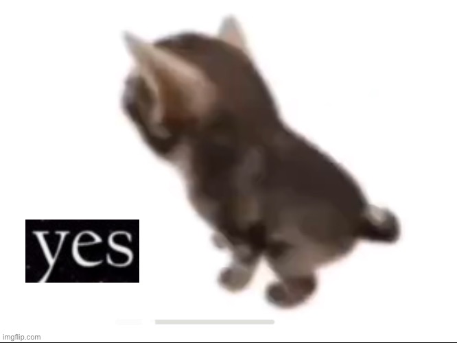 El gatito | image tagged in el gatito | made w/ Imgflip meme maker