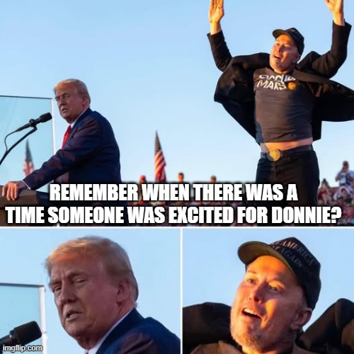 Yay Elon | REMEMBER WHEN THERE WAS A TIME SOMEONE WAS EXCITED FOR DONNIE? | image tagged in politics,elon musk | made w/ Imgflip meme maker