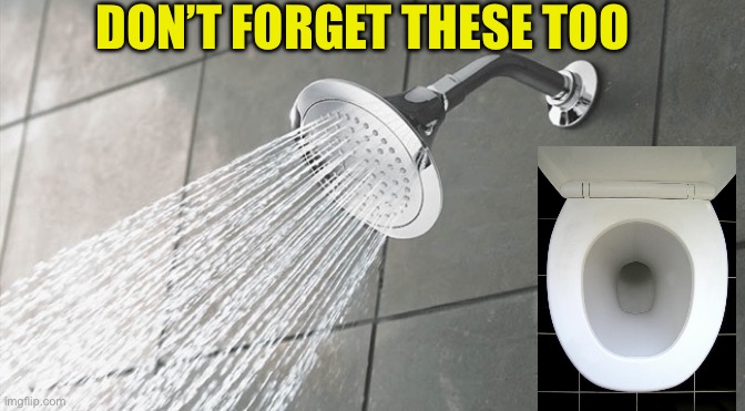 Shower Thoughts | DON’T FORGET THESE TOO | image tagged in shower thoughts | made w/ Imgflip meme maker