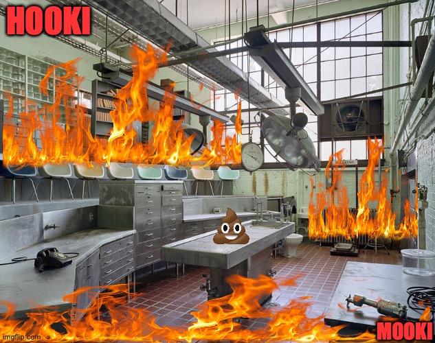 Hooki Mooki | HOOKI; MOOKI | image tagged in fire | made w/ Imgflip meme maker