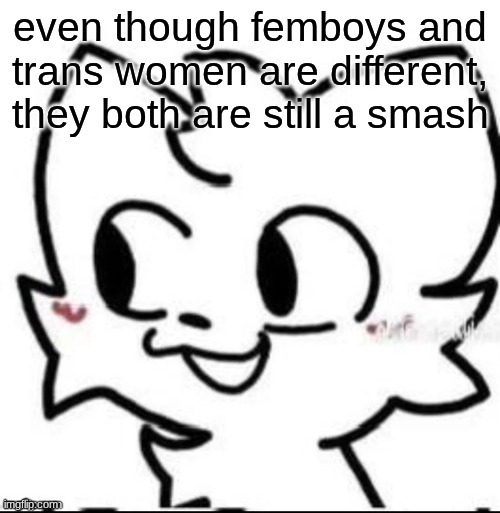 (Insane note: real) | even though femboys and trans women are different, they both are still a smash | image tagged in boykisser | made w/ Imgflip meme maker