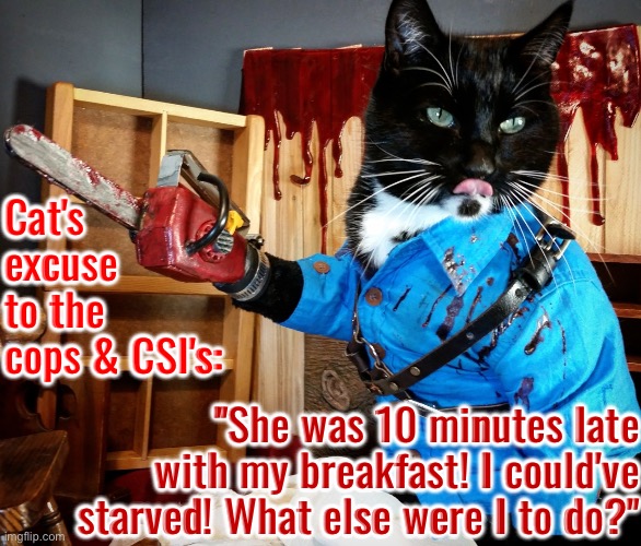Cat Excuse To Cops And CSI'S | Cat's excuse to the cops & CSI's:; "She was 10 minutes late with my breakfast! I could've starved! What else were I to do?" | image tagged in cats,funny cat memes,chainsaw,the murderer,excuses,psycho | made w/ Imgflip meme maker