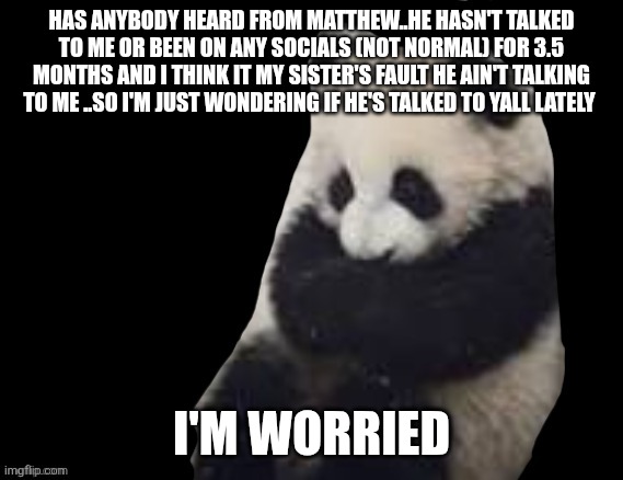 panda | HAS ANYBODY HEARD FROM MATTHEW..HE HASN'T TALKED TO ME OR BEEN ON ANY SOCIALS (NOT NORMAL) FOR 3.5 MONTHS AND I THINK IT MY SISTER'S FAULT HE AIN'T TALKING TO ME ..SO I'M JUST WONDERING IF HE'S TALKED TO YALL LATELY; I'M WORRIED | image tagged in panda | made w/ Imgflip meme maker