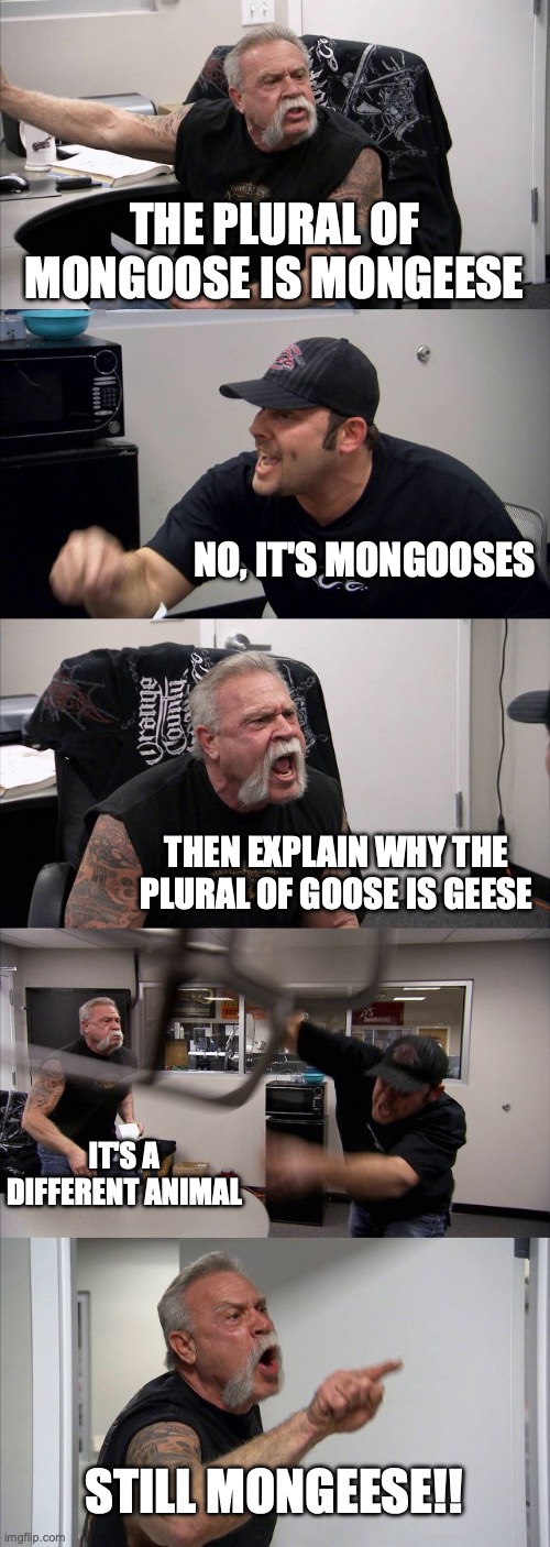 It's Mongeese | THE PLURAL OF MONGOOSE IS MONGEESE; NO, IT'S MONGOOSES; THEN EXPLAIN WHY THE PLURAL OF GOOSE IS GEESE; IT'S A DIFFERENT ANIMAL; STILL MONGEESE!! | image tagged in memes,american chopper argument,funny | made w/ Imgflip meme maker