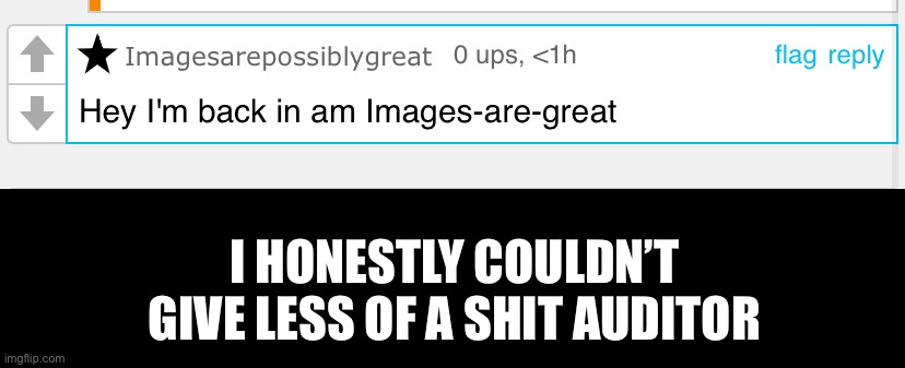 I HONESTLY COULDN’T GIVE LESS OF A SHIT AUDITOR | made w/ Imgflip meme maker