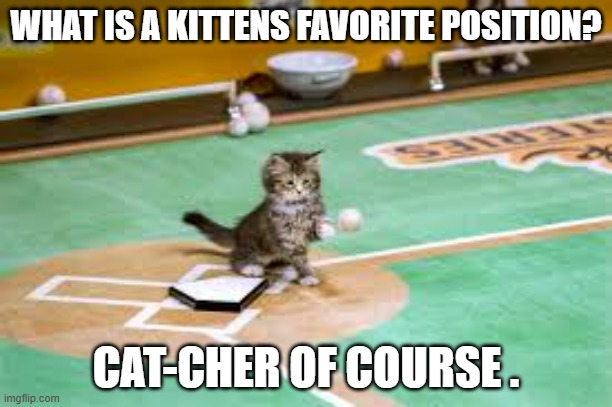 What's a kittens favorite position? The cat-cher of course. | WHAT IS A KITTENS FAVORITE POSITION? CAT-CHER OF COURSE . | image tagged in cats,funny,kittens,humor,baseball,play on words | made w/ Imgflip meme maker