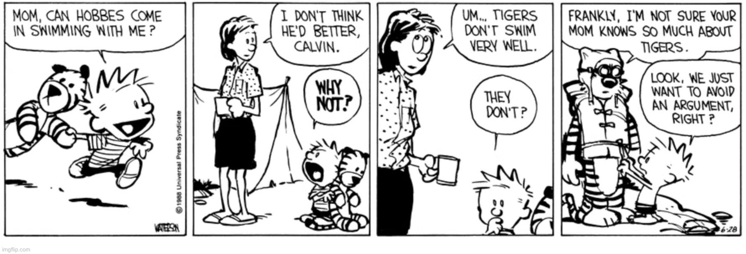 Better safe than sorry… | image tagged in calvin and hobbes,comics,tigers cant swim very well | made w/ Imgflip meme maker