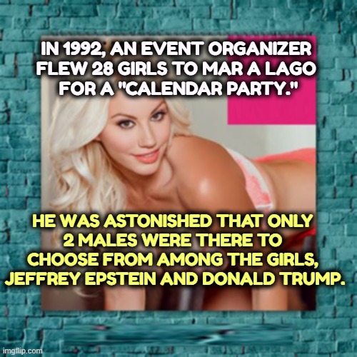 IN 1992, AN EVENT ORGANIZER 
FLEW 28 GIRLS TO MAR A LAGO 
FOR A "CALENDAR PARTY."; HE WAS ASTONISHED THAT ONLY 
2 MALES WERE THERE TO 
CHOOSE FROM AMONG THE GIRLS, 
JEFFREY EPSTEIN AND DONALD TRUMP. | image tagged in trump,jeffrey epstein,party,girls | made w/ Imgflip meme maker