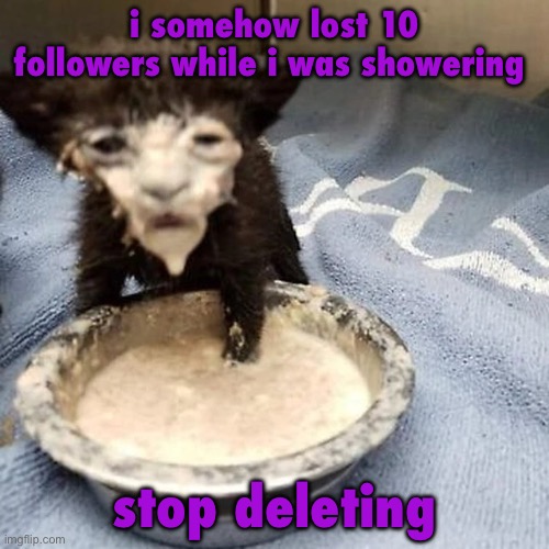 Pie :3 | i somehow lost 10 followers while i was showering; stop deleting | image tagged in pie 3 | made w/ Imgflip meme maker