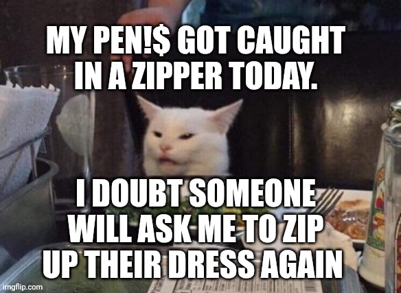 Smudge that darn cat | MY PEN!$ GOT CAUGHT IN A ZIPPER TODAY. I DOUBT SOMEONE WILL ASK ME TO ZIP UP THEIR DRESS AGAIN | image tagged in smudge that darn cat | made w/ Imgflip meme maker