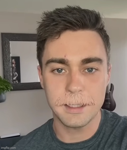 The mustache is literally an example of how hair works for the microbe osmosis Jones characters | made w/ Imgflip meme maker