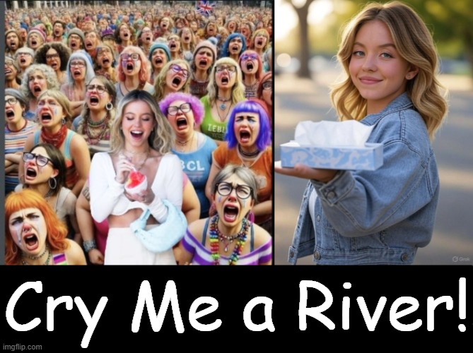 Libs who support ALL women (bububut not the pretty white ones)! | Cry Me a River! | image tagged in sjws,women,just not white women,double standards,crazy woman,liberal tears | made w/ Imgflip meme maker