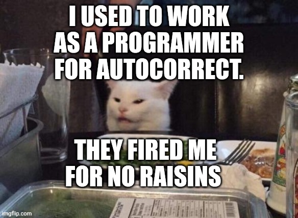 Smudge that darn cat | I USED TO WORK AS A PROGRAMMER FOR AUTOCORRECT. THEY FIRED ME FOR NO RAISINS | image tagged in smudge that darn cat | made w/ Imgflip meme maker