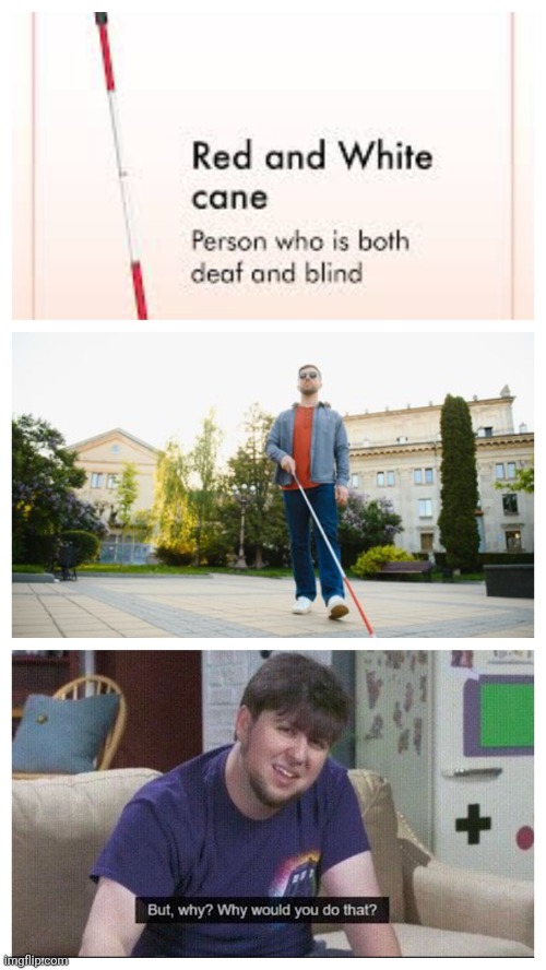 You thought you had problems. | image tagged in you thought you had problems,deaf,blind | made w/ Imgflip meme maker