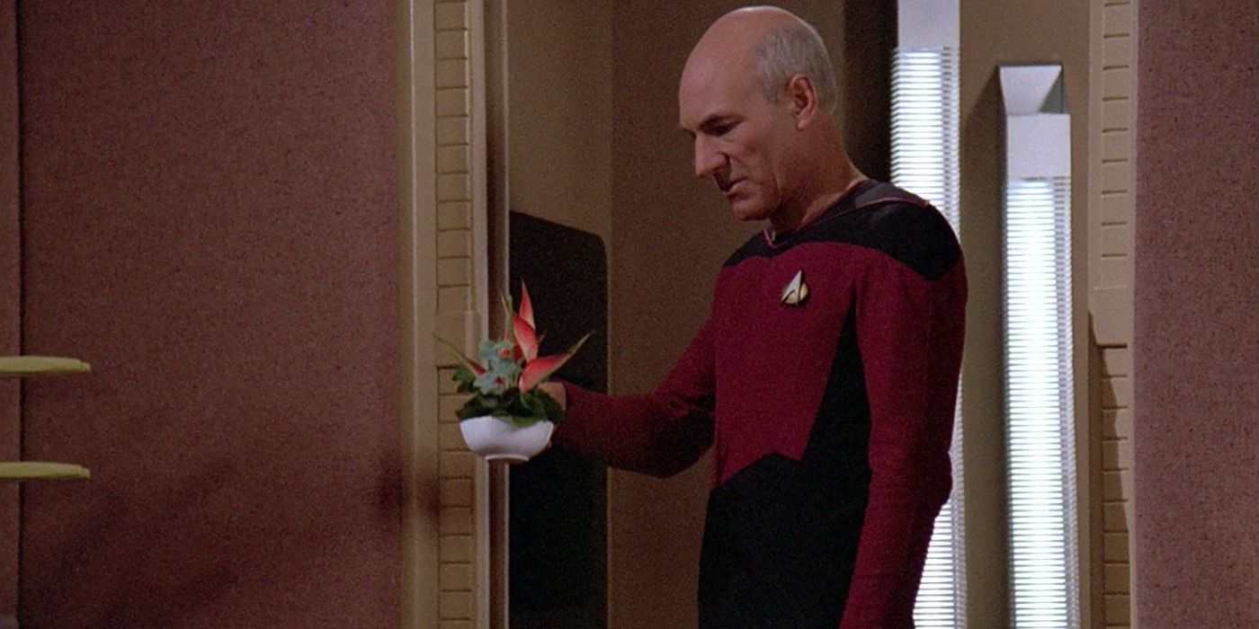 Picard replicator Blank Meme Template